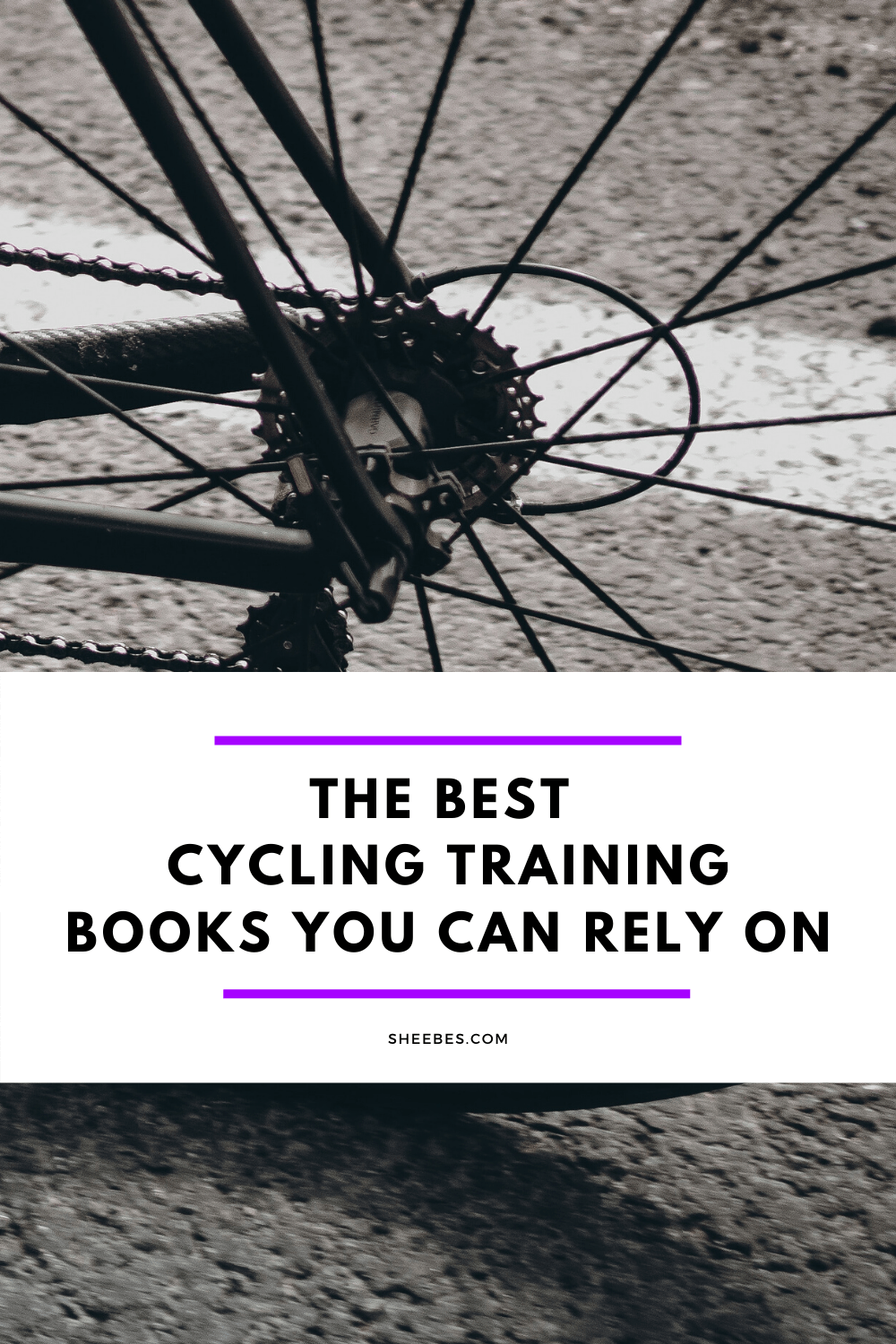 The best cycling training books you can rely on SHEEBES