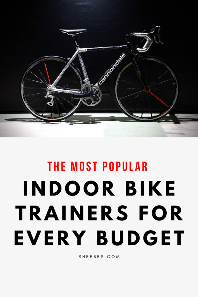 best cheap bike trainer